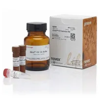 Набор реагентов iBind FD для флуоресцентной детекции блотт-мембран, 1 набор