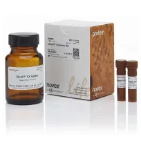 Набор реагентов iBind для хемилюминесцентной, колориметрической и хромогенной детекции блотт-мембран (Mini)