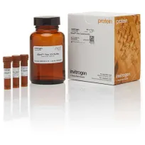 Набор реагентов iBind Flex для хемилюминесцентной, колориметрической и хромогенной детекции блотт-мембран, 1 набор